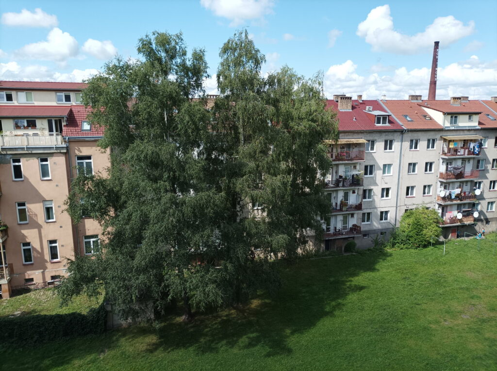 Poco M3 Pro, snímek hlavním snímačem