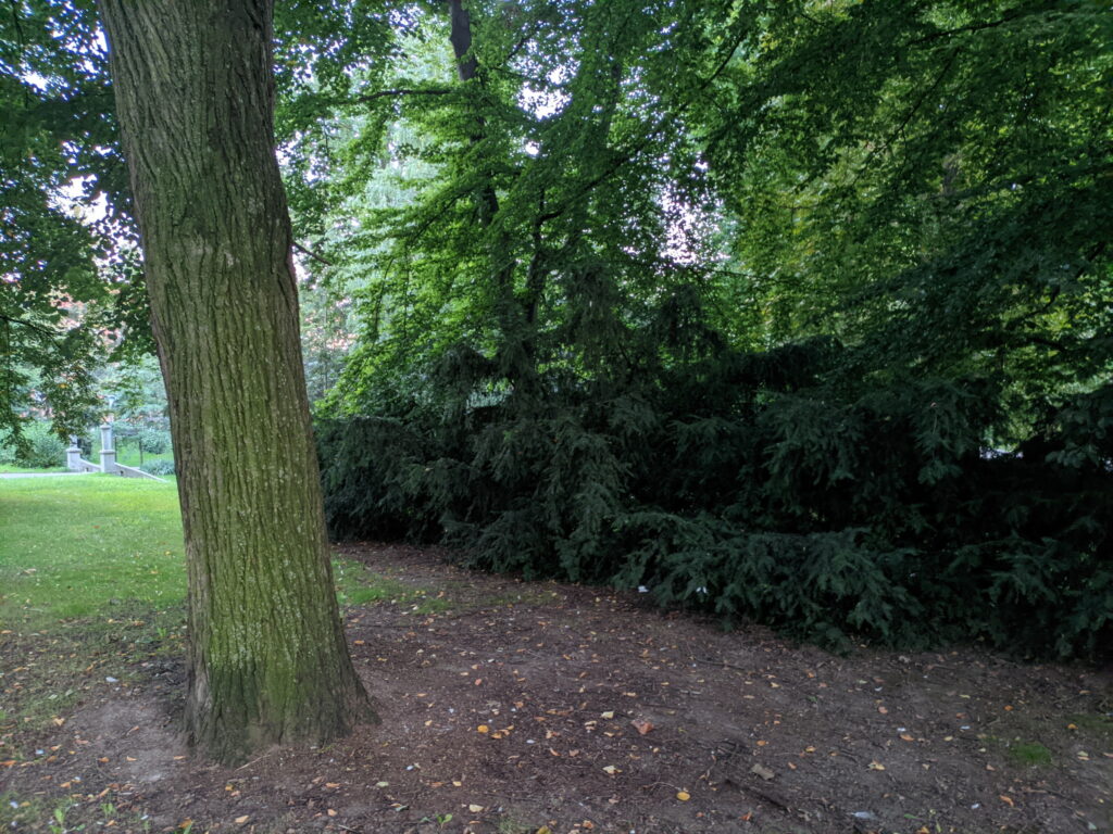 Poco M3 Pro, denní snímek z Gcam hlavním snímačem