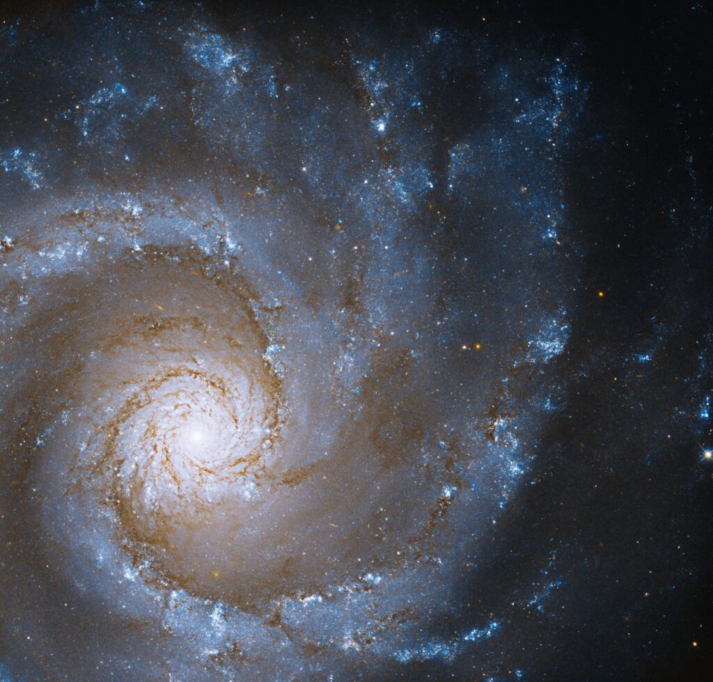 Spirální galaxie NGC 3631