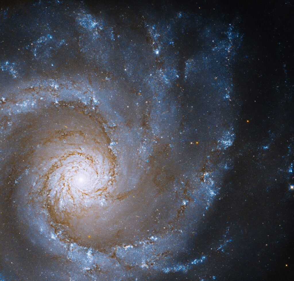 Spirální galaxie NGC 3631