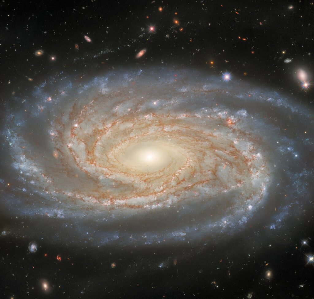 Galaxie NGC 7038